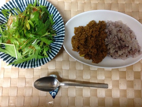 カレーの日：キーマカレー（再録）